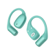 Cool Mint